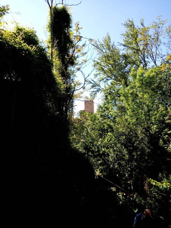 Casa La Antigua Almazara Holiday home *